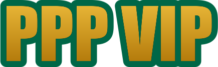 bdpppvip.com Logo